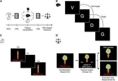 The Impact of Cognitive and Physical Effort Exertion on Physical Effort Decisions: A Pilot Experiment